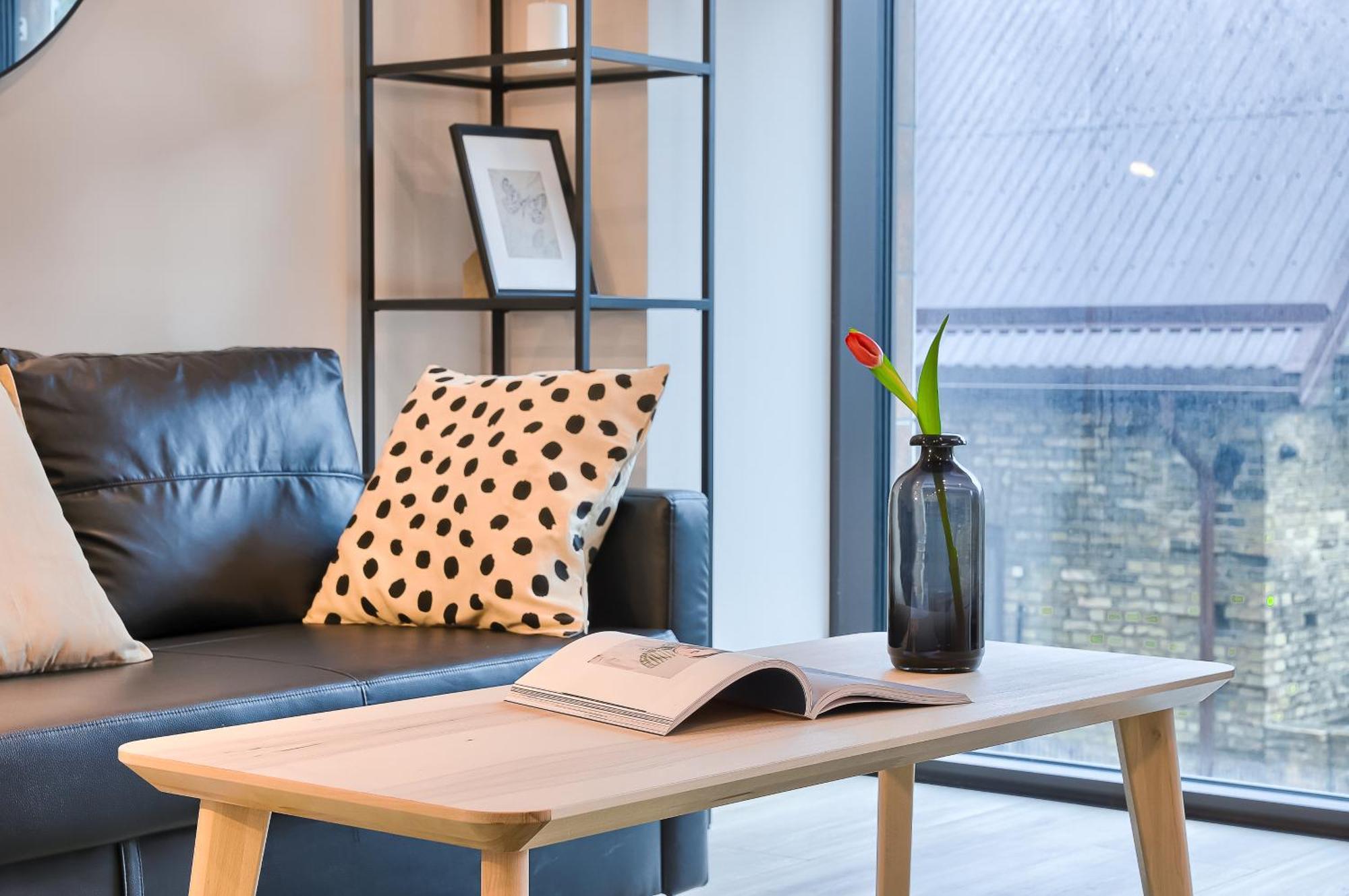 Business-Class Apartments 2 X Free Parking X Self Check In 24X7 VNO Exteriér fotografie